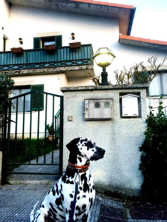 Casa Elita Ξενοδοχείο Larrasoana Εξωτερικό φωτογραφία