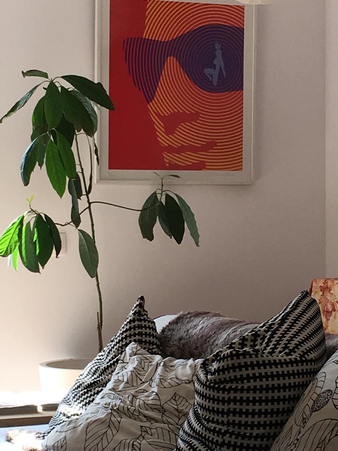 Casa Elita Ξενοδοχείο Larrasoana Εξωτερικό φωτογραφία
